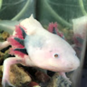 Meet your Posher, Karina